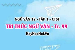 Soạn bài Tri thức Ngữ Văn trang 99, 100 Ngữ văn 12 Chân trời sáng tạo